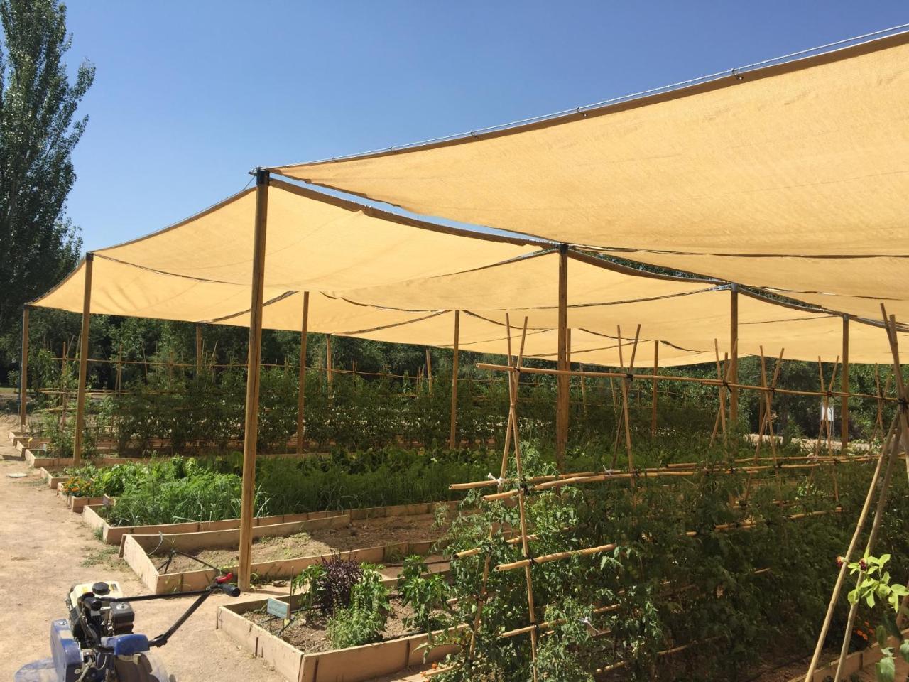 Centro De Agroecologia Y Medio Ambiente De Murcia Bullas Exterior foto