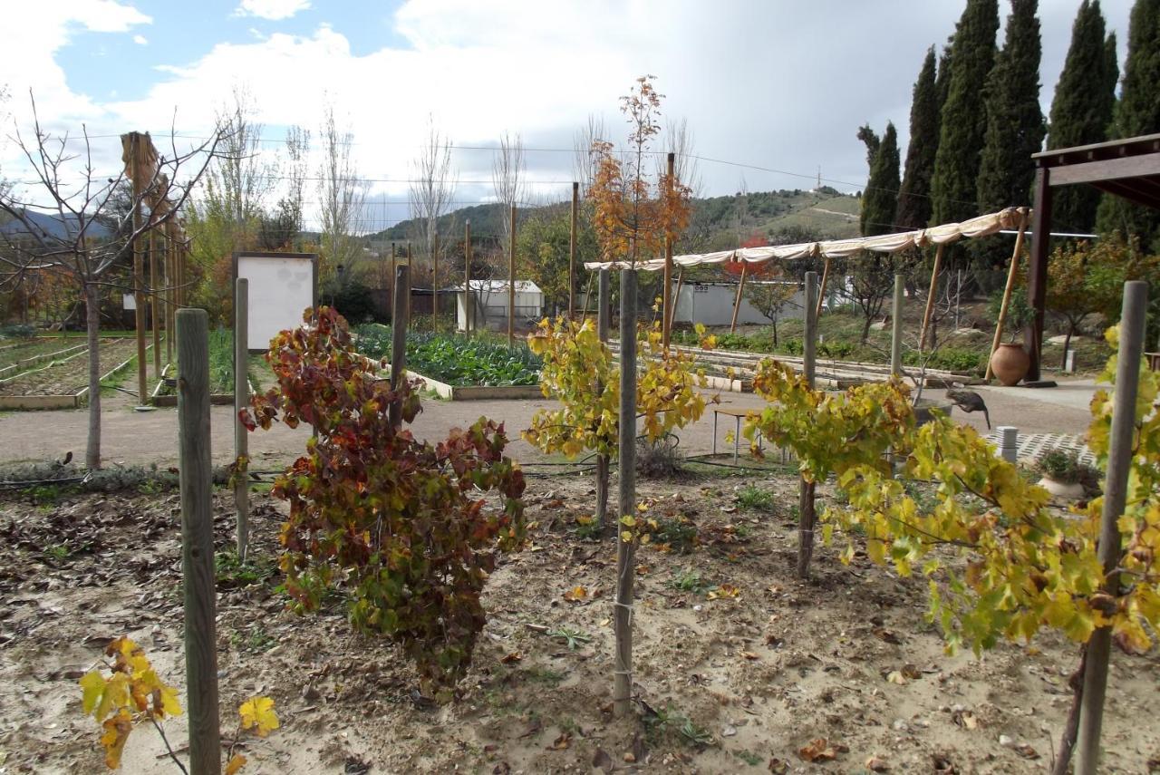 Centro De Agroecologia Y Medio Ambiente De Murcia Bullas Exterior foto